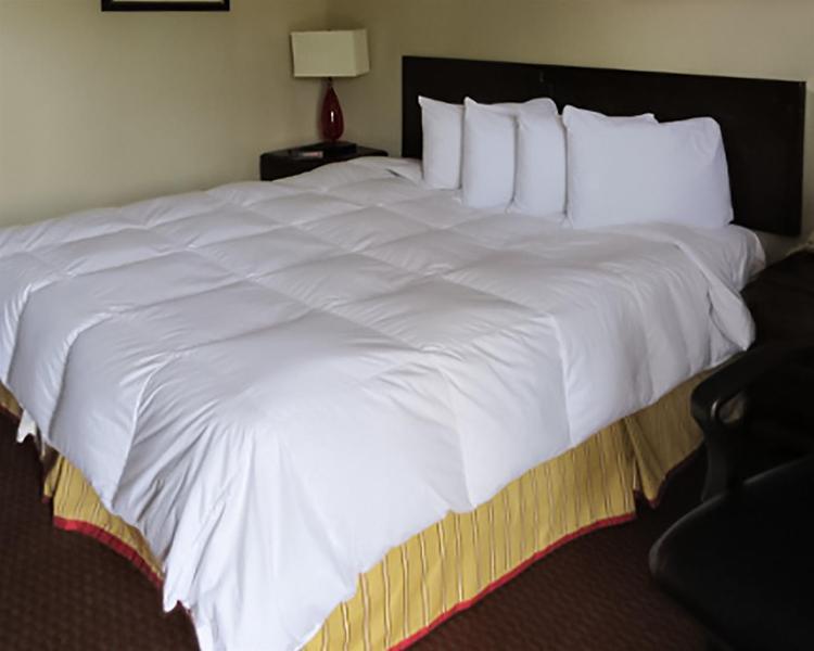 Red Roof Inn Florence, Sc Exterior foto